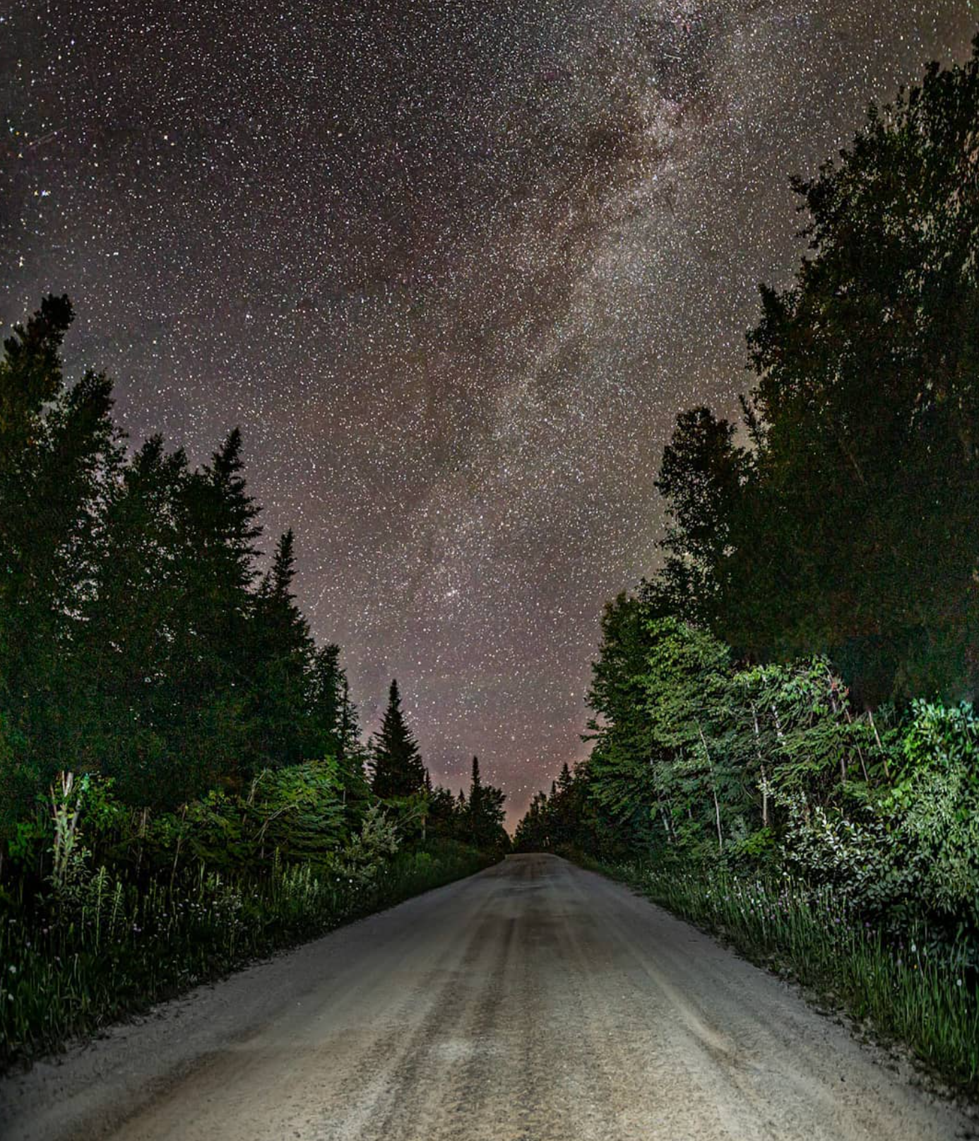 Milky Way over a forest road