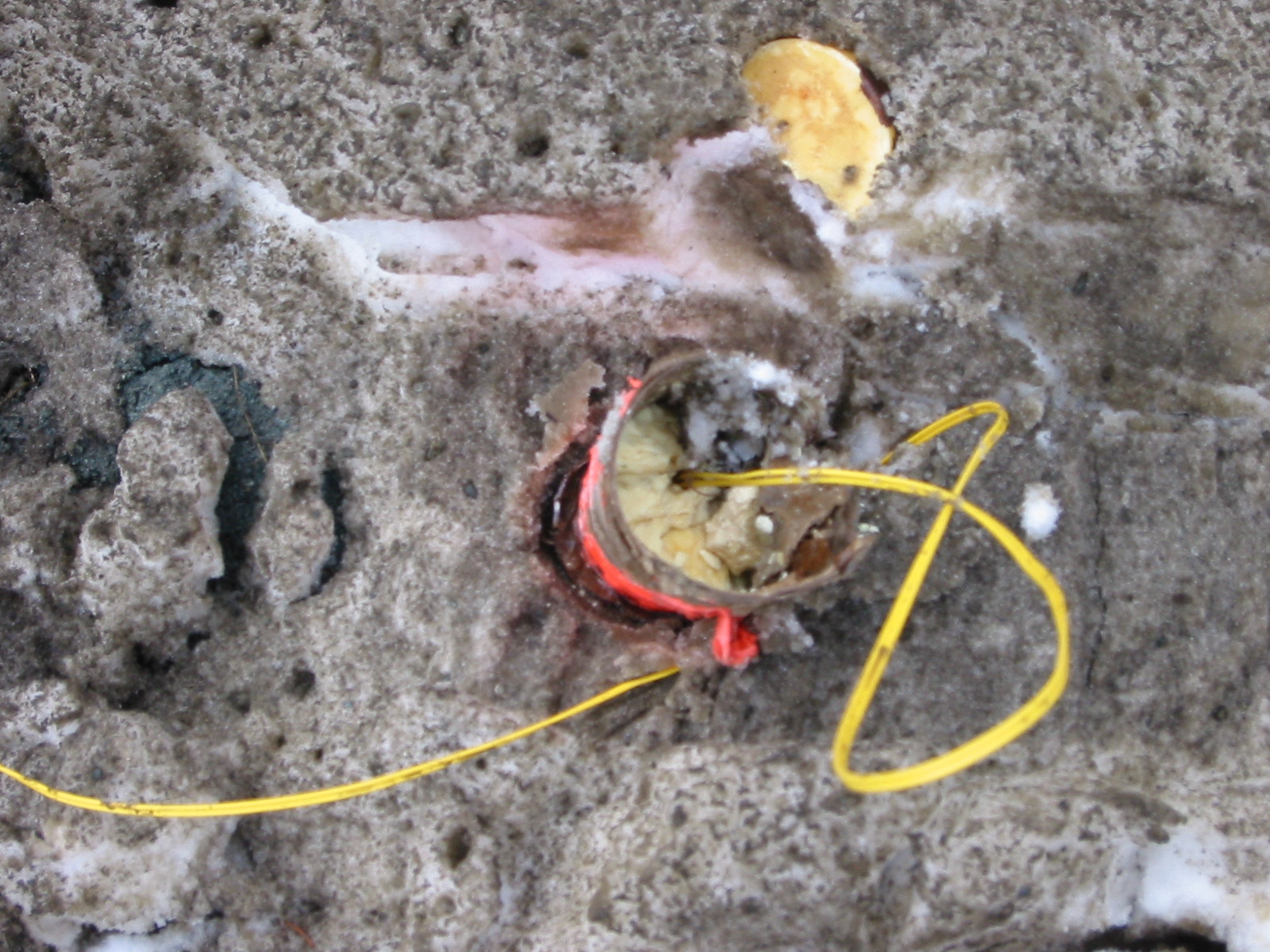 Seismic source preparation